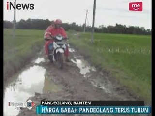 Infrastruktur Tak Pernah Disentuh Pemerintah, Petani di Pandeglang Terpuruk - iNews Pagi 05/01