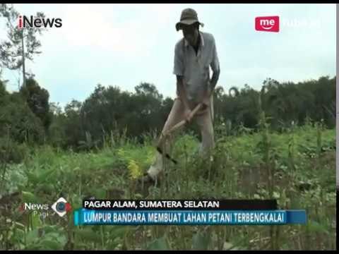 Selama 8 Tahun Petani Keluhkan Lahan Sawah yang Mengering Akibat Limbah Bandara - iNews Pagi 08/01
