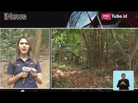 Sambut Hari Sejuta Pohon Dunia Pada 10 Januari 2018 - iNews Siang 10/01