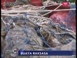 Gempar!! Warga Kotawaringin Barat Temukan Buaya Raksasa Muncul di Sungai - iNews Malam 10/01