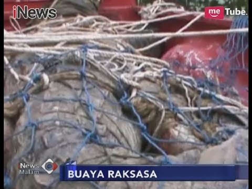 Gempar!! Warga Kotawaringin Barat Temukan Buaya Raksasa Muncul di Sungai - iNews Malam 10/01