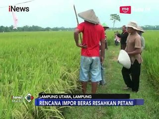 Скачать видео: Tolak Impor Beras, Petani di Lampung: Kita Akan Hancur - iNews Malam 17/01