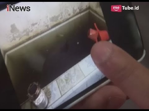 Tak Hanya Ajak Anaknya Bunuh Diri, Sang Ibu Juga Mandi Dengan Kotorannya Sendiri - Police Line 16/01