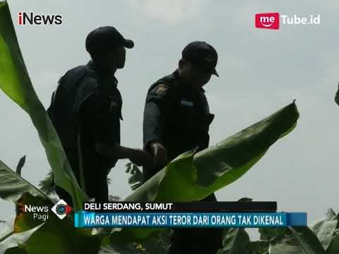 Warga Deli Serdang Diteror Orang Tak Dikenal, Diduga Terkait Sengketa PTPN II - iNews Pagi 24/01