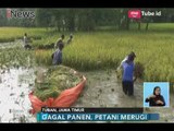 Lagi!! Akibat Terendam Banjir, Petani Gagal Panen dan Merugi - iNews Siang 26/01
