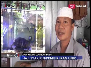 [Luar Biasa] Tulisan Lafaz Allah dan Muhammad Muncul di Sisik Ikan - iNews Malam 28/01