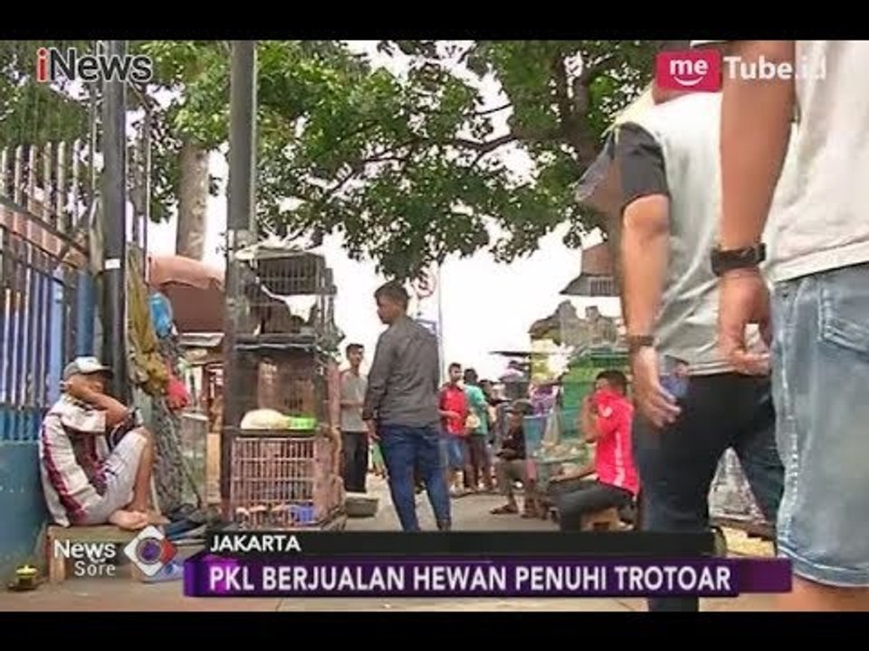 PKL Jatinegara Tak Punya Pilihan Lain, Berikut Harapan Pedagang untuk Pemerintah - iNews Sore 28/01