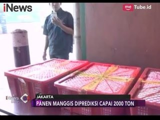 Panen Serentak Buah Manggis di Indonesia Diperkirakan Mencapai 2000 Ton - iNews Sore 04/02