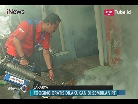 Perindo Lakukan Aksi Peduli Fogging Gratis & Pembagian Gerobak untuk Pedagang - iNews Pagi 08/02