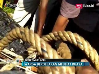Resahkan Masyarakat, Nelayan Aceh Tangkap Buaya Raksasa Bobot 1 Ton - iNews Pagi 14/02