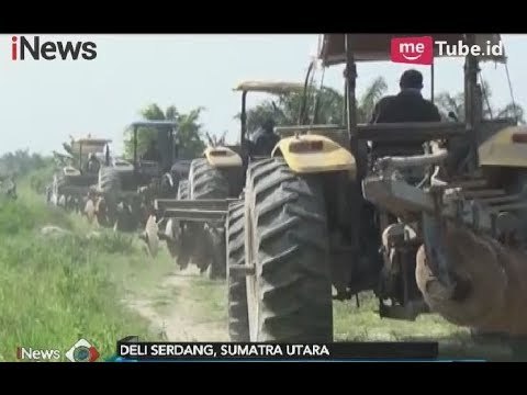 Tak Hanya di Desa Bangun Rejo, PTPN Dua Juga Melakukan Okupasi di Tanjung Morawa - iNews Pagi 15/02
