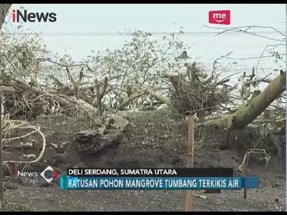Meski Ditolak Warga, Penambangan Pasir Laut di Pantai Labu Tetap Dilakukan - iNews Pagi 15/02