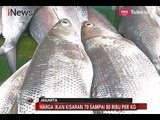 Waw! Ikan Bandeng sebagai Lambang Kemakmuran & Rezeki dalam Perayaan Imlek - Special Report 16/02