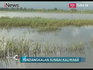 Sungai Kaligawe Grobogan Meluap ke Persawahan, Warga Mengeluh Gagal Panen - iNews Pagi 20/02