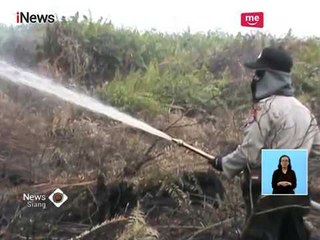 Sulit Dipadamkan, Kebakaran Lahap Hutan dan Lahan Sawit di Pangkalan Bun - iNews Siang 21/02