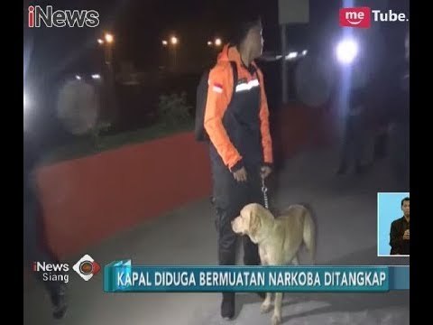 Petugas Bea Cukai Kerahkan Anjing Pelacak untuk Temukan Sabu di Kapal Win Long - iNews Siang 24/02