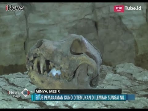 Geger!! Temuan Nekropolis Dinasti Firaun Beserta Perhiasan di Situs Tuna Al Gabal - iNews Pagi 25/02