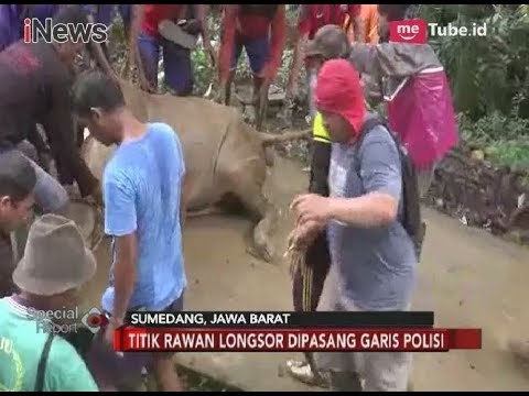 Tertimpa Longsor, Hewan Ternak Tak Mampu Berjalan Dievakuasi Warga dan Polisi - Special Report 27/02