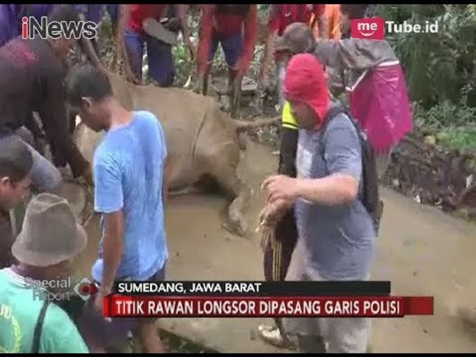 Tertimpa Longsor, Hewan Ternak Tak Mampu Berjalan Dievakuasi Warga dan Polisi - Special Report 27/02