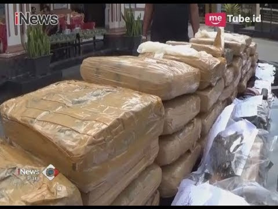 Polisi Berhasil Gagalkan Peredaran 35Kg Ganja Kering dan Tangkap 3 Pelaku - iNews Pagi 06/03