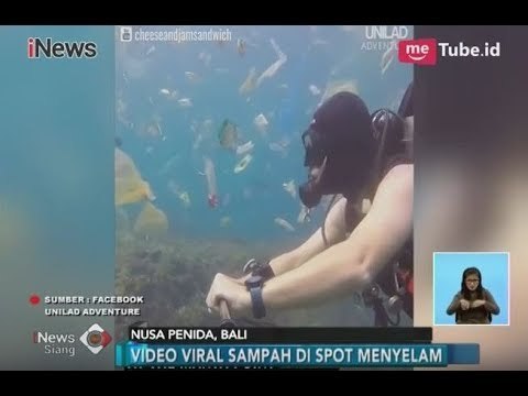 Viral Video Wisatawan Asing Menyelam Bersama Sampah di Bawah Laut Nusa Penida - iNews Siang 08/03