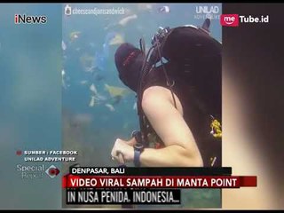 Viral Video Bule Berenang dengan Plastik di Lautan Bali, Ini Kata Gubernur - Special Report 09/03