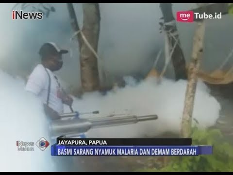 Cegah DBD dan Malaria, Rescue Perindo Lakukan Fogging di Jayapura - iNews Malam 09/03