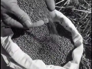 Hemp For Victory Full Official 1942