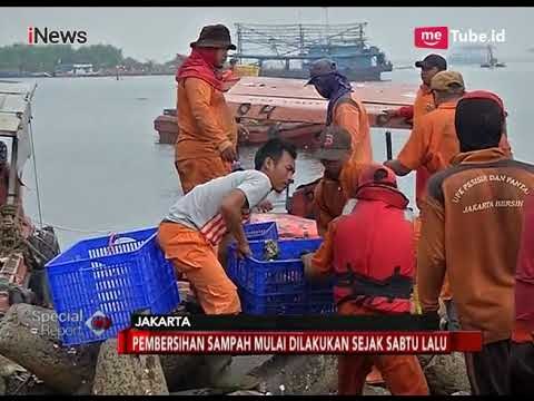 Tumpukan Sampah di Hutan Mangrove Muara Angke Mulai Dibersihkan - Special Report 19/03