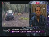 BBKSDA Riau Masih Mencari Harimau Bonita Pasca Terkena Bius & Berhasil Kabur - iNews Sore 18/03