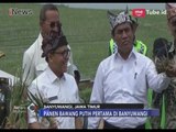 Menteri Pertanian Panen Raya Perdana Bawang Putih di Banyuwangi - iNews Malam 22/03