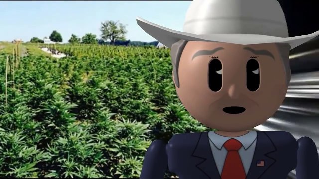 Hemp Oil Dosage Information Written by Rick Simpson