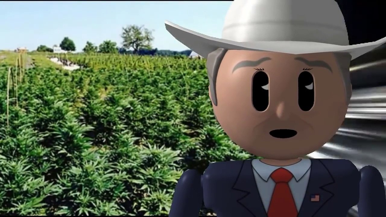 Hemp Oil Dosage Information Written by Rick Simpson