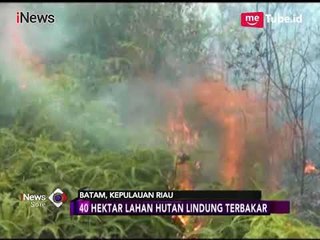 40 Hektare Hutan Lindung di Batam Terbakar - iNews Sore 23/03