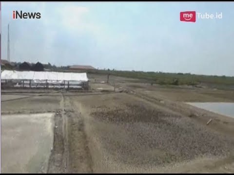 Gara-gara Impor, Ladang Garam di Sidoarjo Jadi Tambak Ikan - iNews Pagi 13/04