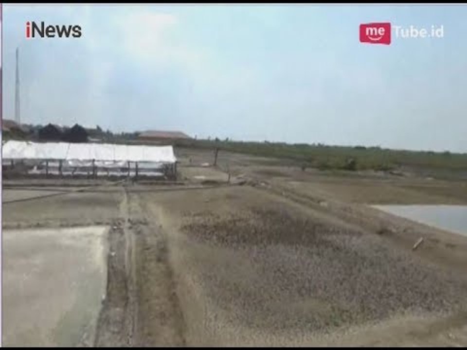 Gara-gara Impor, Ladang Garam di Sidoarjo Jadi Tambak Ikan - iNews Pagi 13/04