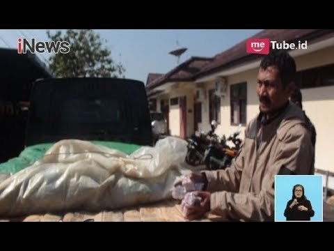 Polisi Berhasil Gagalkan Pengiriman 950 Ribu Butir Petasan Jenis Cabai Rawit - iNews Siang 31/05
