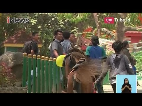 Longsor Tak Pengaruhi Wisatawan untuk Tetap Berlibur di Puncak - iNews Siang 30/03