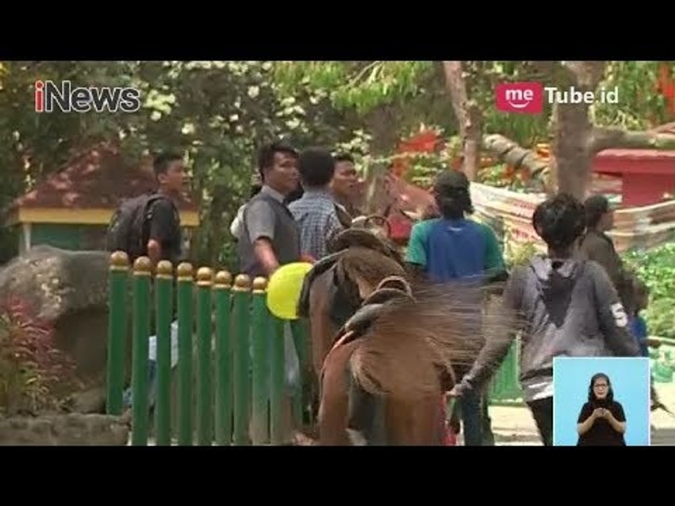 Longsor Tak Pengaruhi Wisatawan untuk Tetap Berlibur di Puncak - iNews Siang 30/03