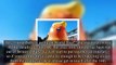 Trump Balloon to Go on World Tour After President's London Visit