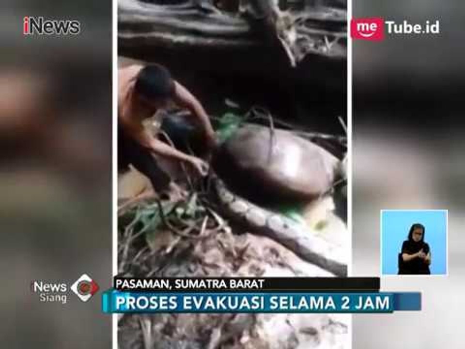 Heboh Petani Selamatkan Ular Piton Raksasa yang Terjepit Batu - iNews Siang 05/04