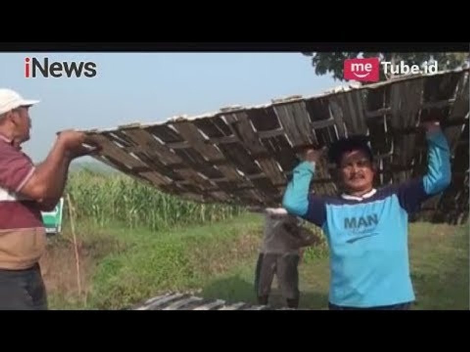 Tak Digubris Pemerintah, Ratusan Petani Mojokerto Perbaiki Sendiri Tanggul Jebol - iNews Pagi 17/04