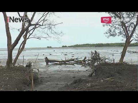 Pasir Laut Terus Dikeruk, Ekosistem Pantai Labu Kian Rusak - iNews Pagi 17/04