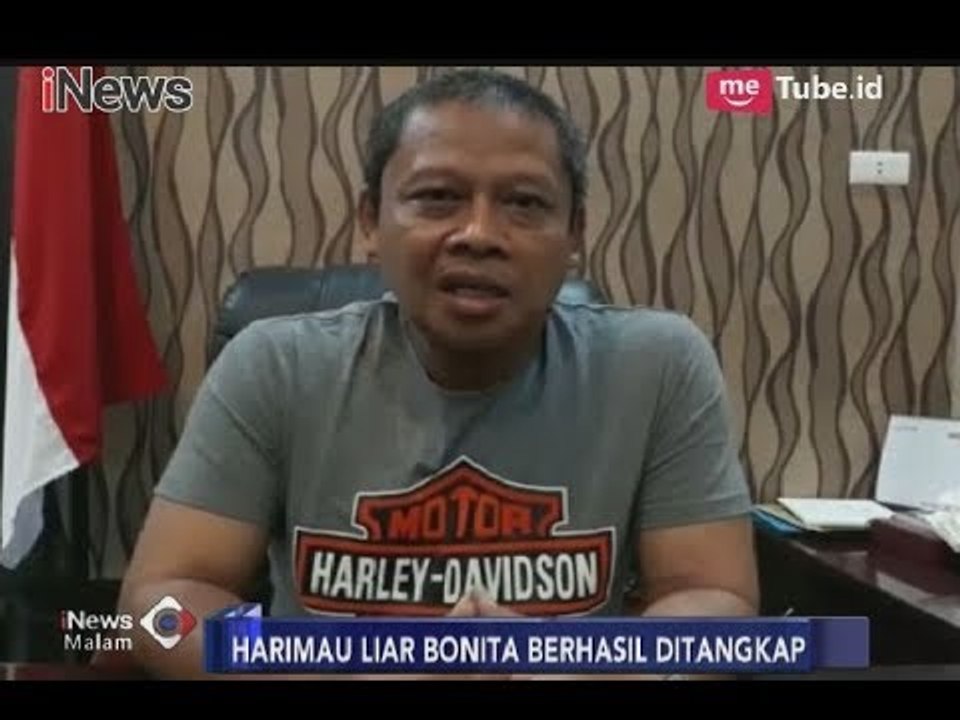 Penjelasan Kepala BBKSDA Riau Pasca Menangkapan Harimau Liar Bonita - iNews Malam 22/04