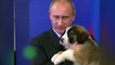 Vladimir Poutine et les Animaux !!