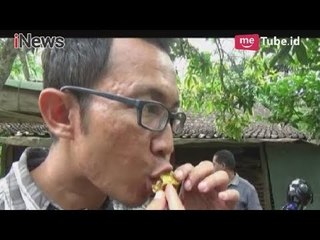 Download Video: Menikmati Madu Murni Langsung dari Sarangnya di Taman Tawon Madu, Kulon Progo - iNews Pagi 23/04