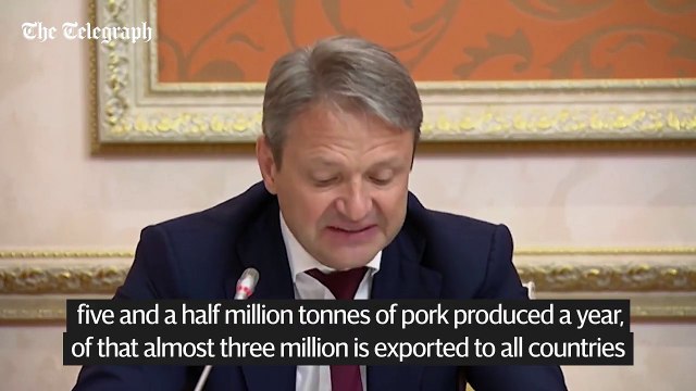 Vladimir Putin bursts into giggles over plans for pork exports to Indonesia