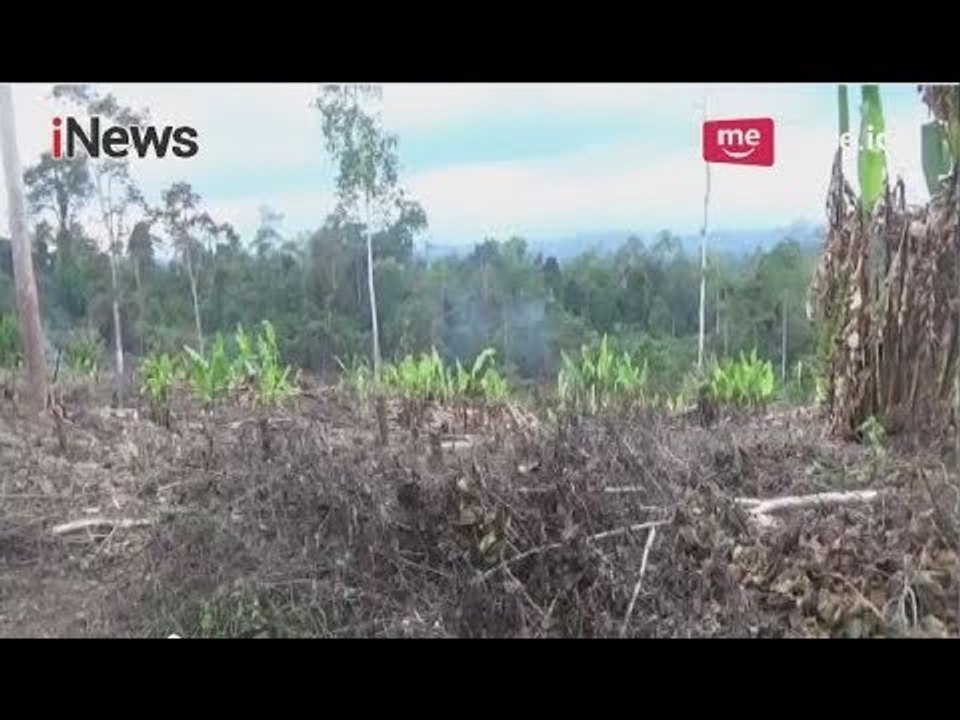 Perkebunan Rusak, Pemkab Aceh Timur Mulai Bangun Parit Gajah - iNews Pagi 01/05