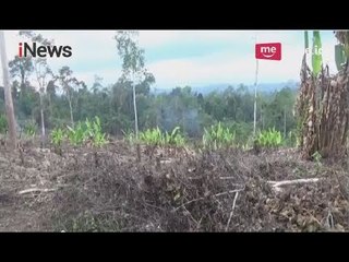 Perkebunan Rusak, Pemkab Aceh Timur Mulai Bangun Parit Gajah - iNews Pagi 01/05