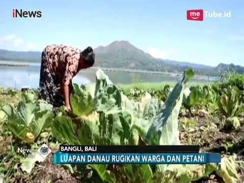 Dinas LH Bali Anggarkan Rp450 Miliyar, Normalisasi Danau Batur - iNews Pagi 30/04